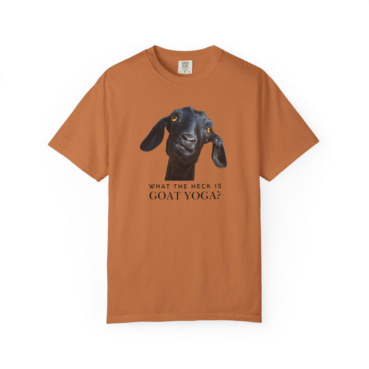 What the Heck Is Goat Yoga? – Funny Goat Lover T-Shirt | Farm & Yoga Humor Tee
