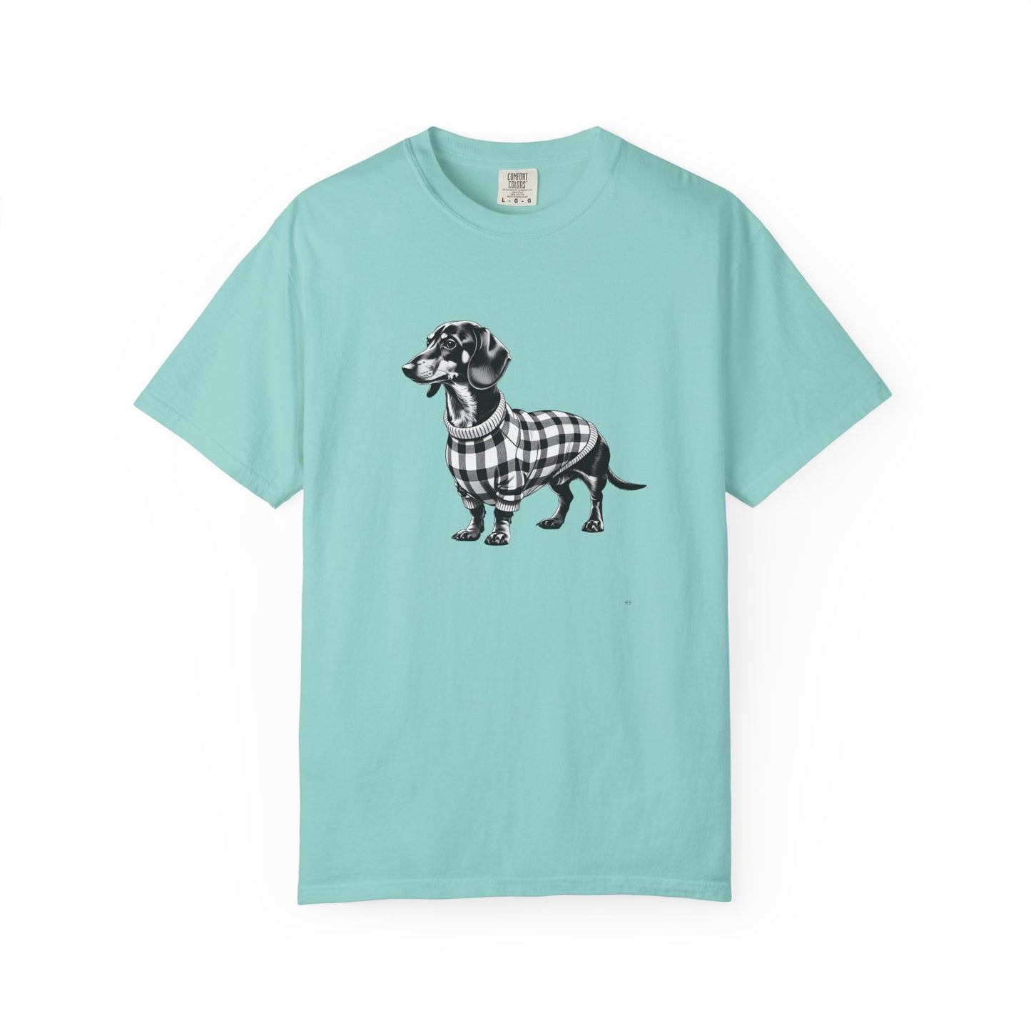 Dachshund Wearing Sweater