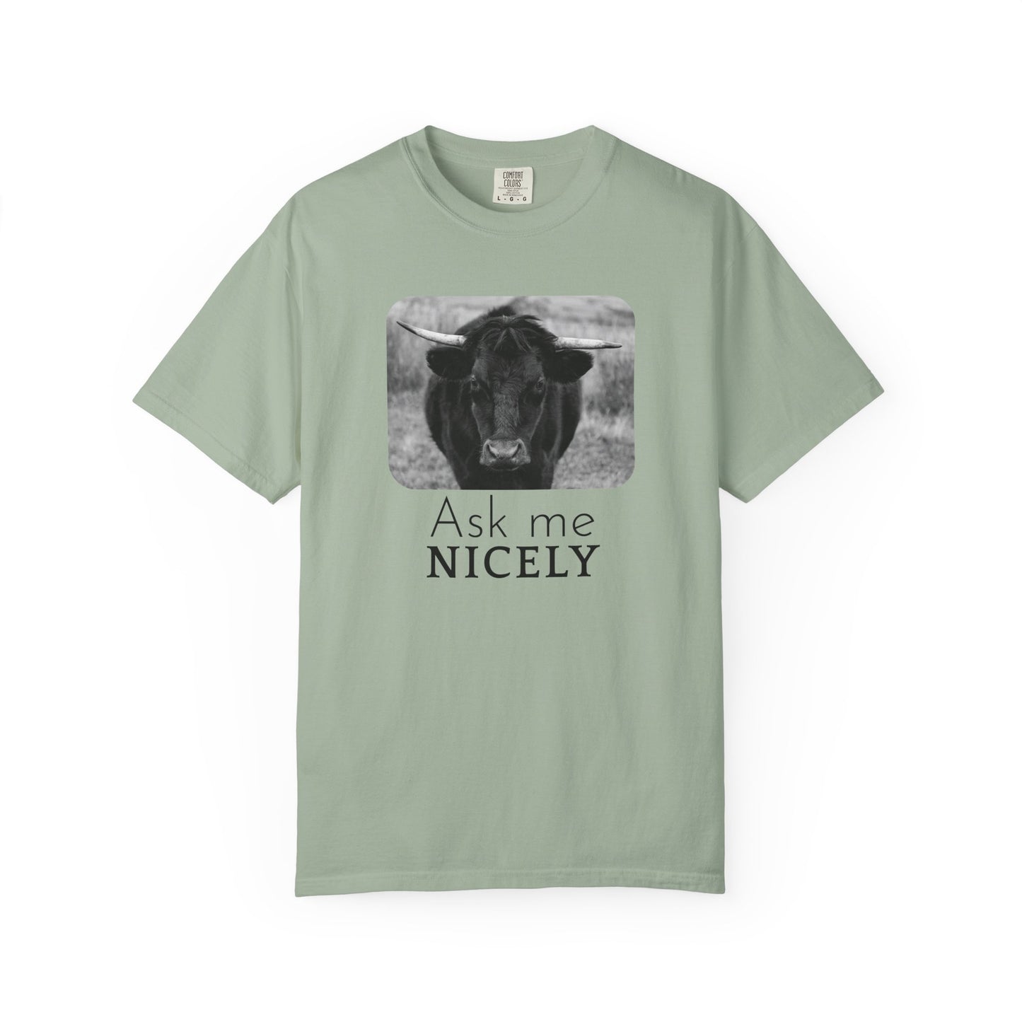 Ask Me Nicely – Bull Faceoff