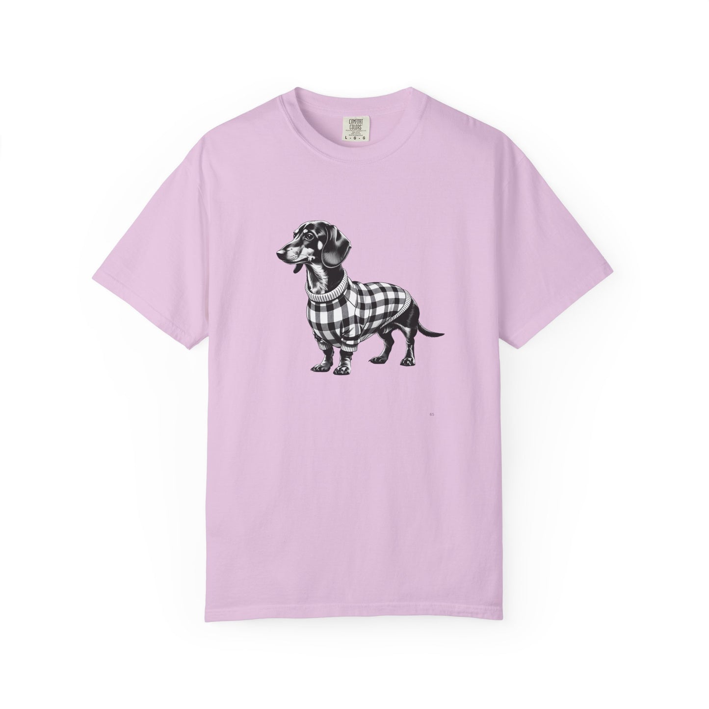 Dachshund Wearing Sweater