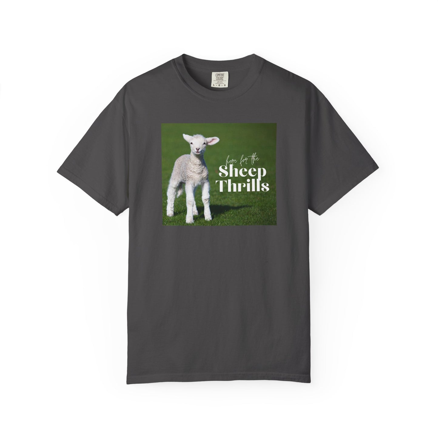 Here for the Sheep Thrills