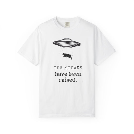 The STEAKS have been raised - UFO