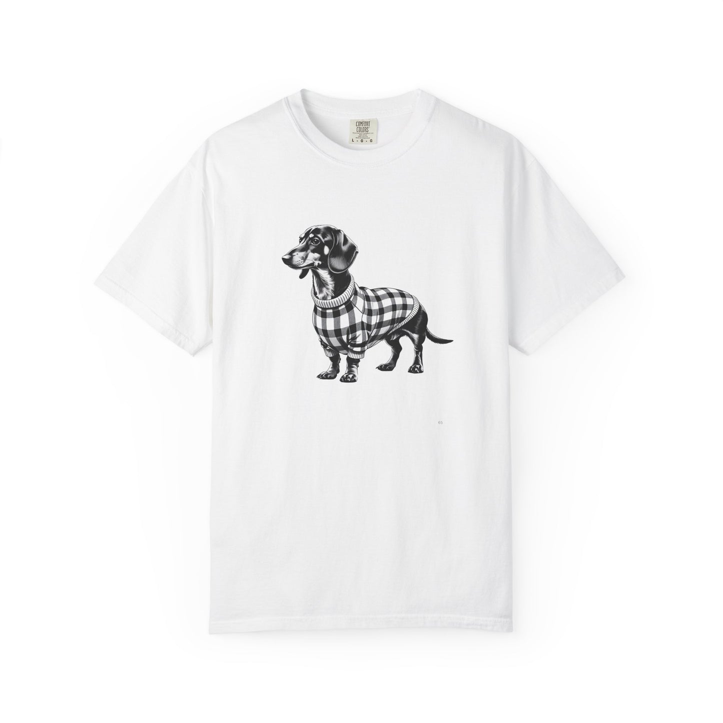 Dachshund Wearing Sweater
