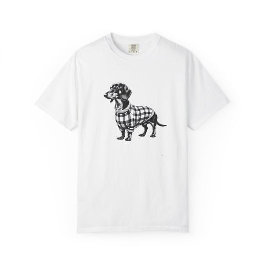 Dachshund Wearing Sweater