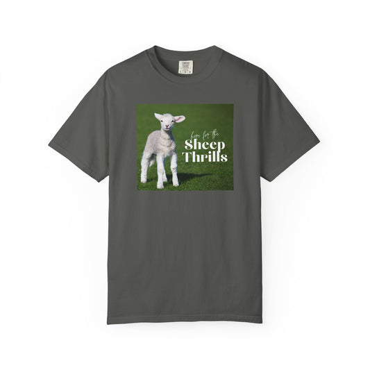 Here for the Sheep Thrills