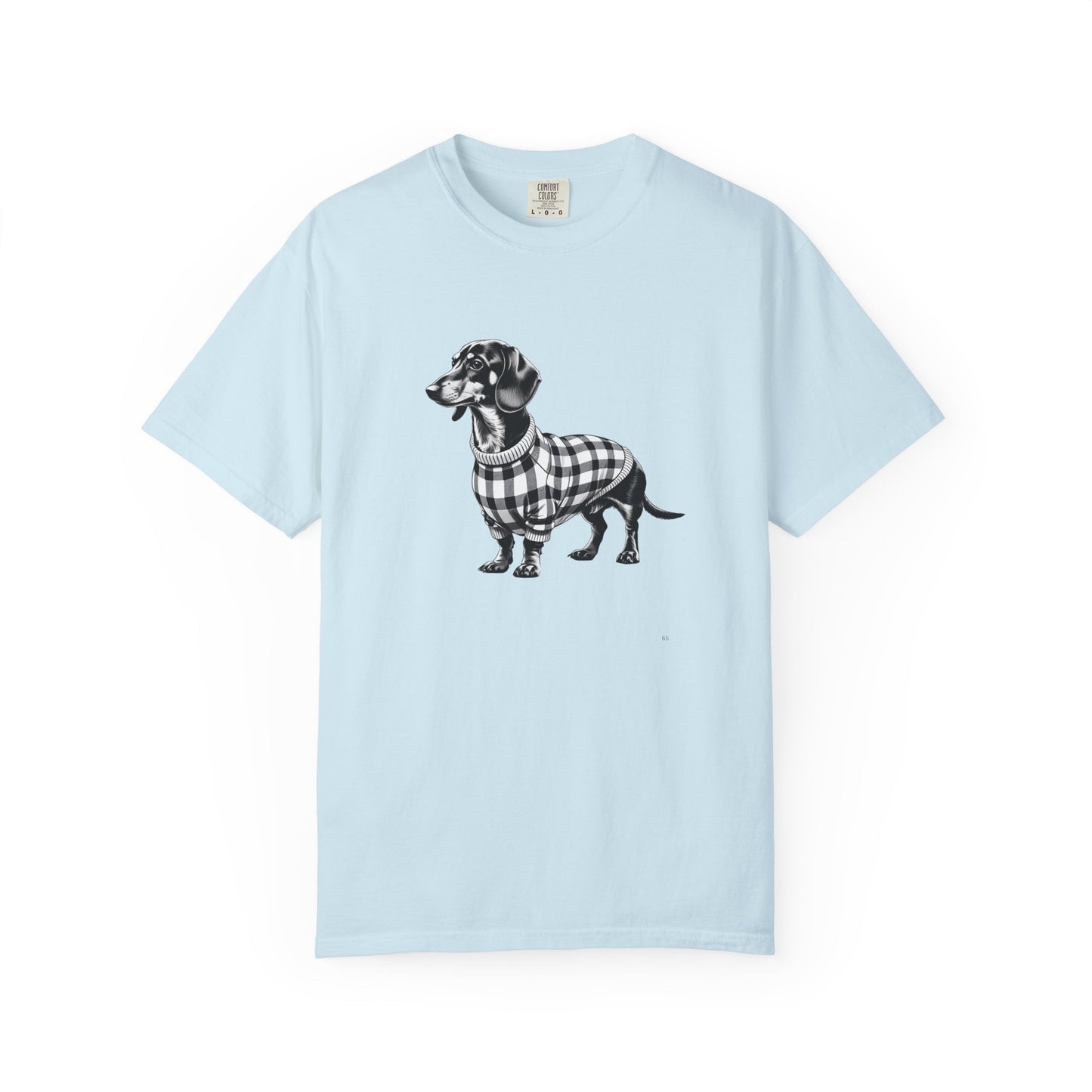Dachshund Wearing Sweater