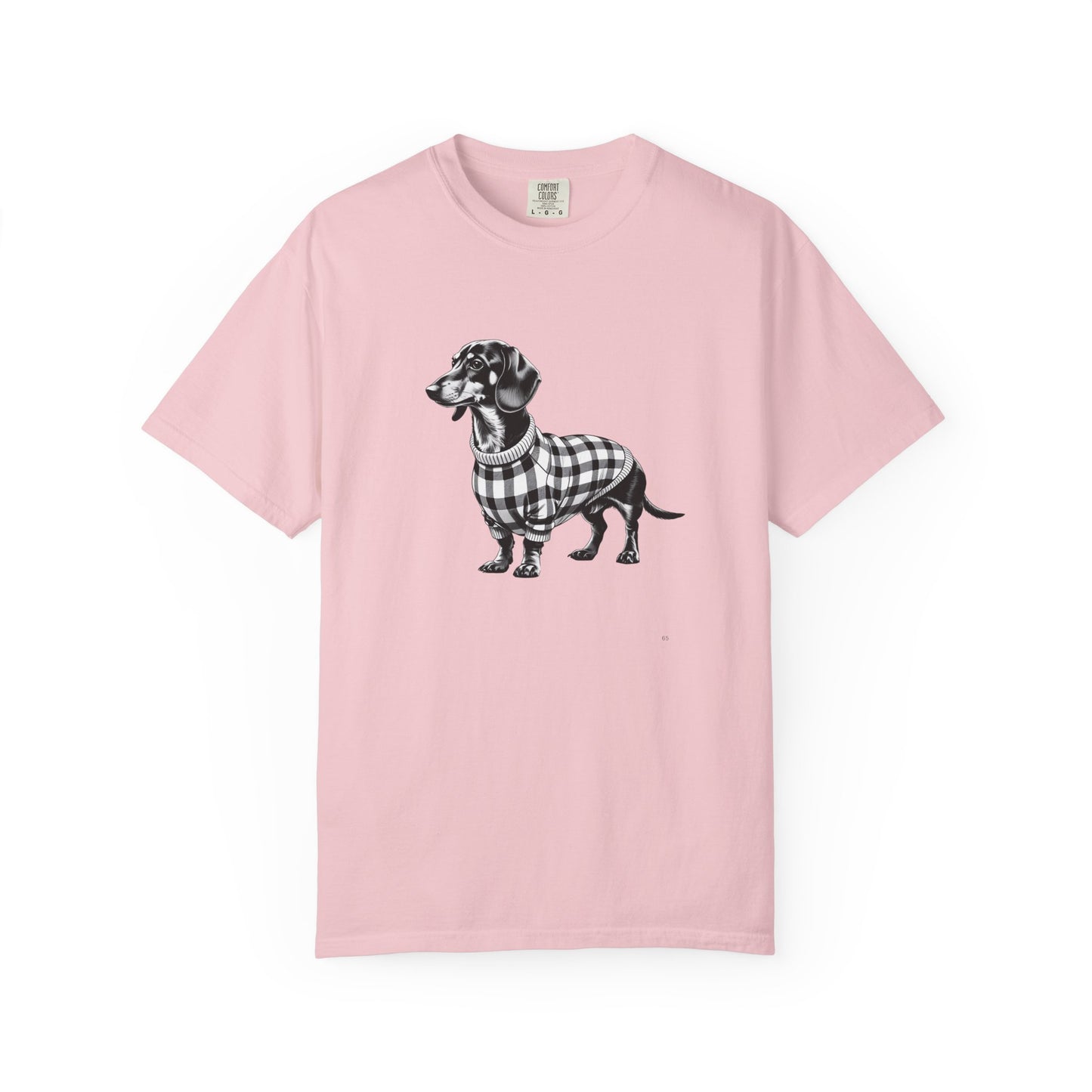 Dachshund Wearing Sweater