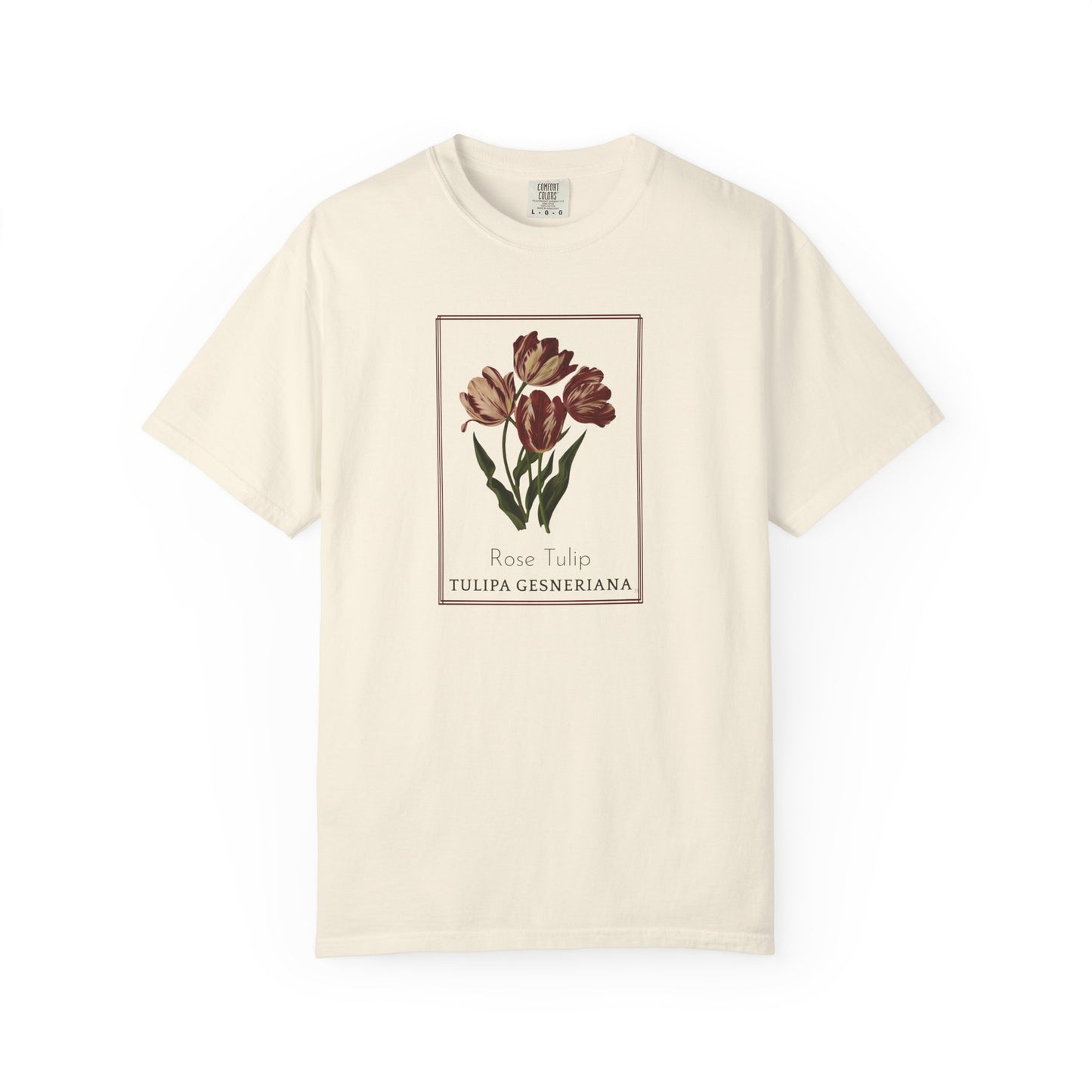 Rose Tulip - Botanical Floral