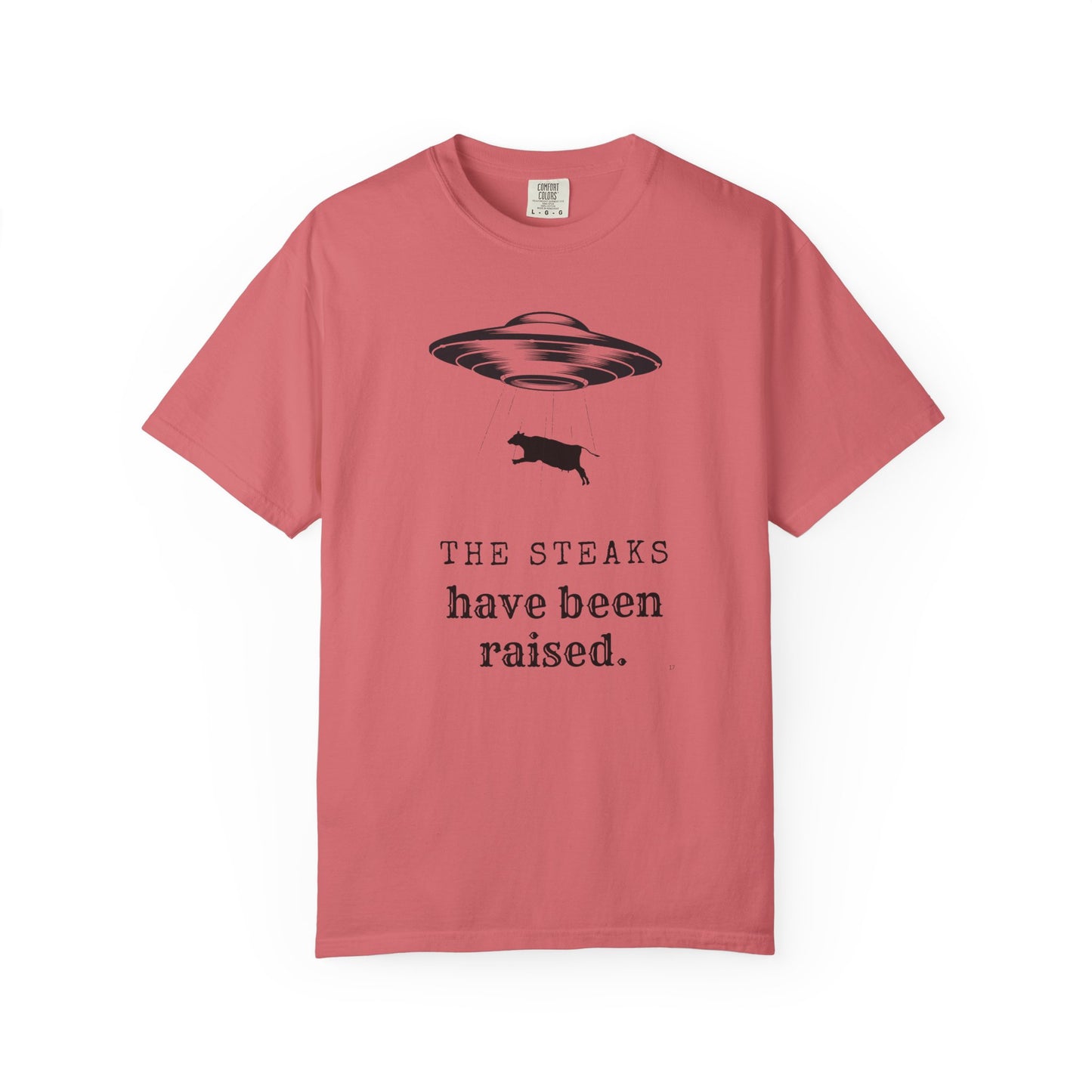 The STEAKS have been raised - UFO