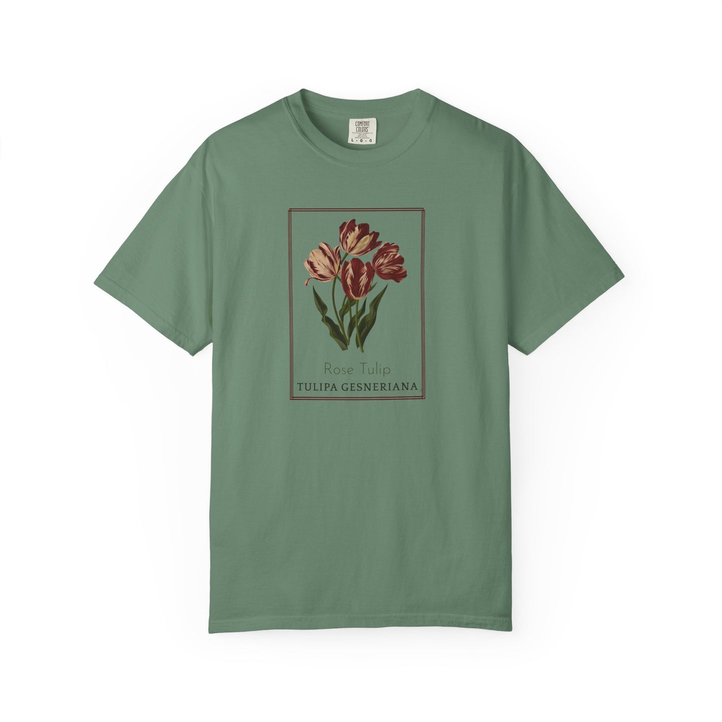 Rose Tulip - Botanical Floral