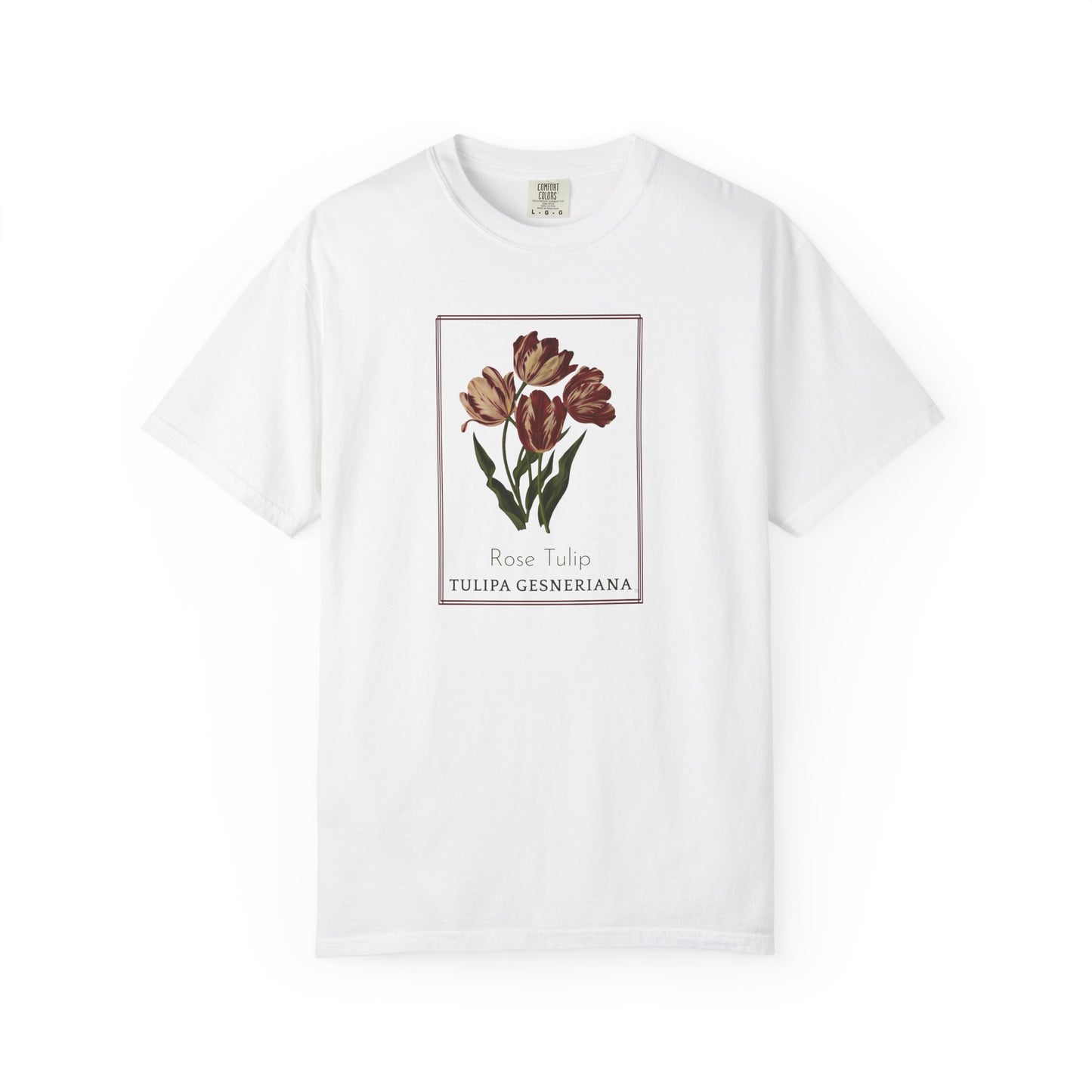 Rose Tulip - Botanical Floral